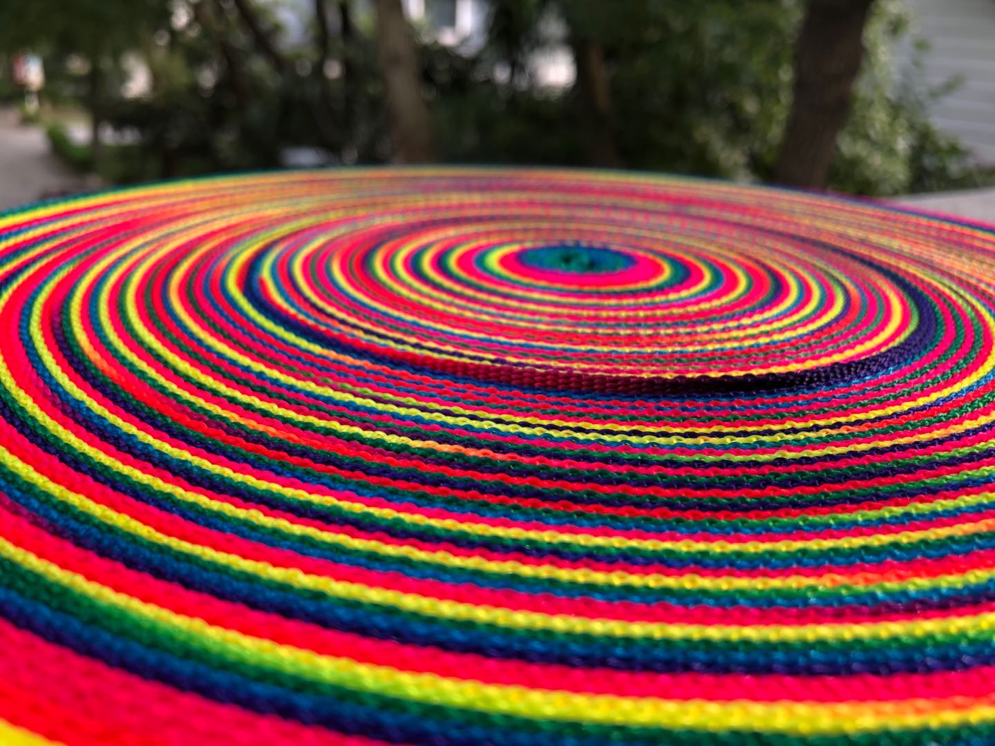 50 yards/roll Rainbow Nylon Webbing for Dog Collar and more 4 Sizes